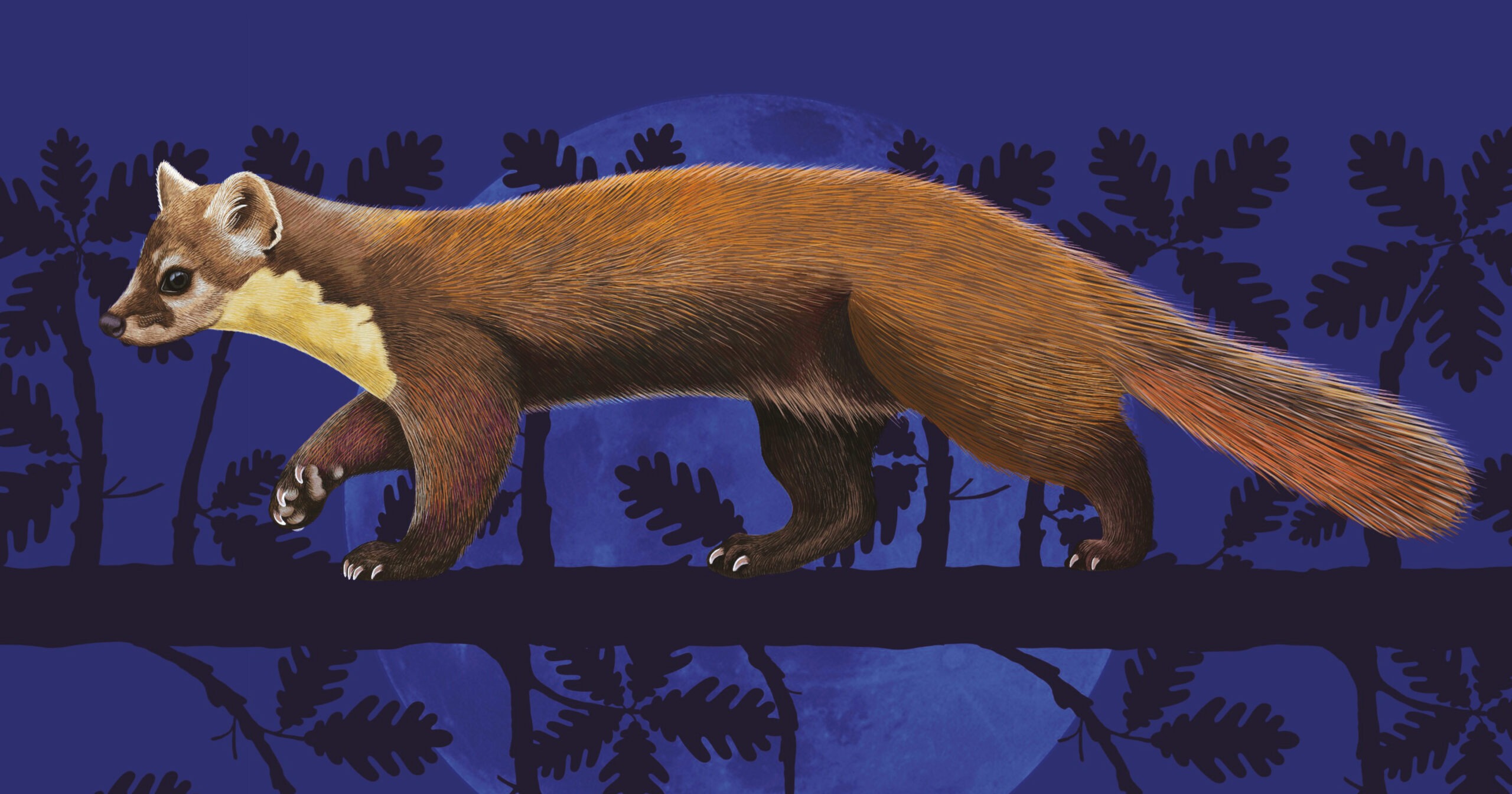 Living-Spirit of the woods-banner